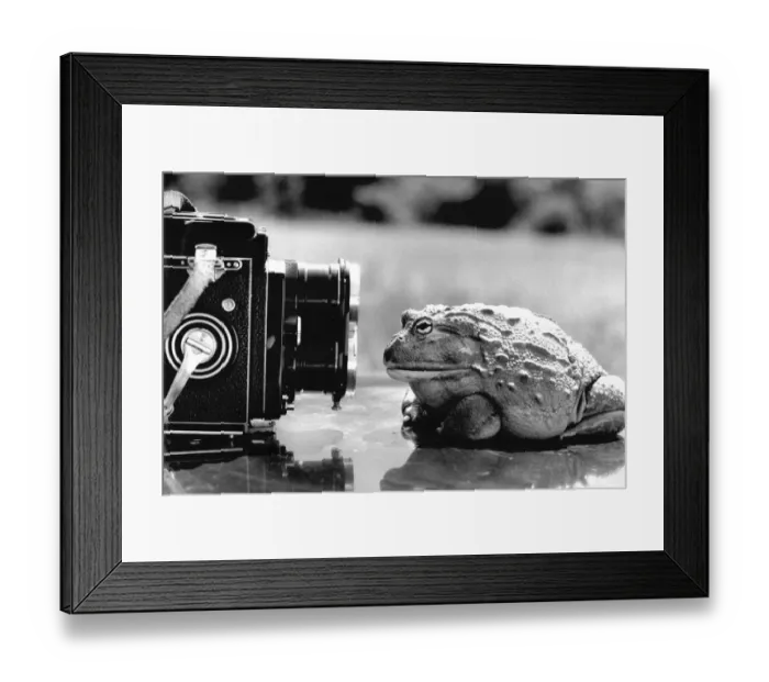 Framed Print : I m ready for my close-up Framed Print : I m ready for my close-up