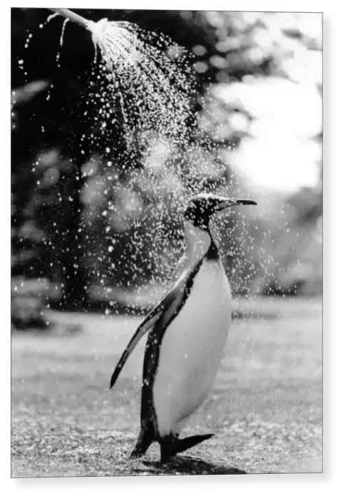 Print : Cooling Off Print : Cooling Off