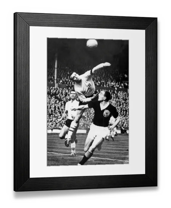 Framed Print : Ron Springett (England) saves from Ian St John of Scotland in 1961 Framed Print : Ron Springett (England) saves from Ian St John of Scotland in 1961
