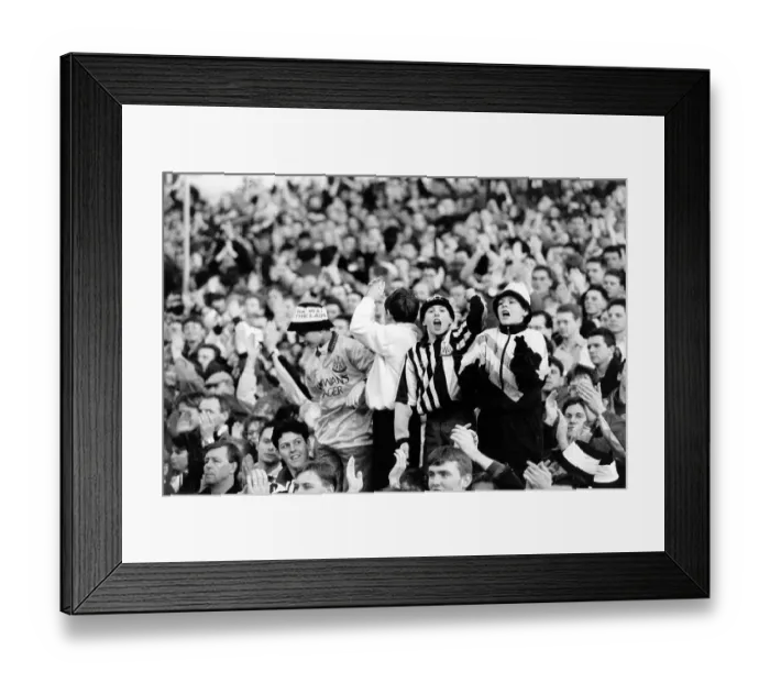 Framed Print : Newcastle fans celebrate Framed Print : Newcastle fans celebrate