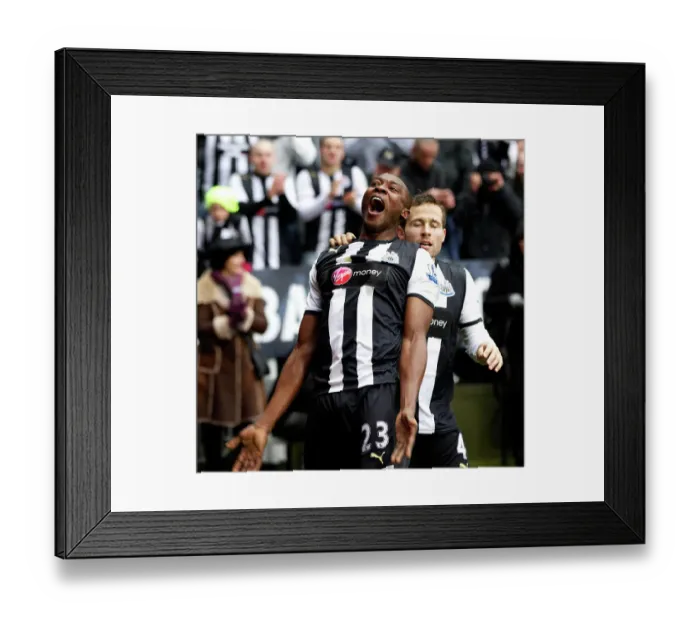 Framed Print : Newcastle's Shola Ameobi celebrates the equalising goal against Sunderland Framed Print : Newcastle's Shola Ameobi celebrates the equalising goal against Sunderland