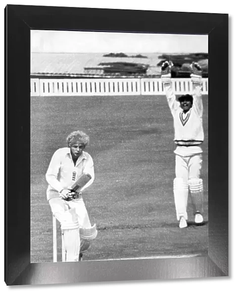David Gower falls lbw to the delight of Indian wicketkeeper Bharath Reddy