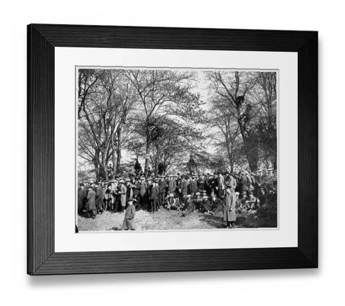Framed Print : Over 70, 000 people officially attended the F.A. Cup Final between Burnley and Liverpool in 1914 but many preferred to spectate from vantage points outside the ground