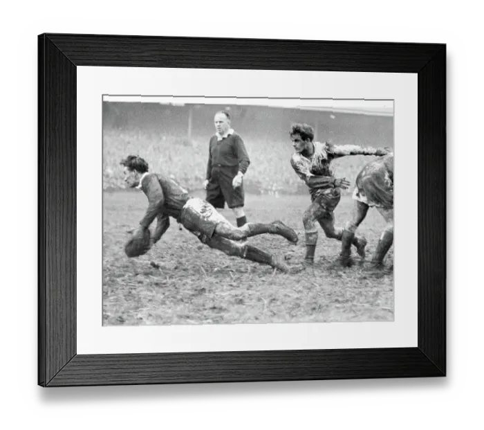 Framed Print : Rex Willis the Welsh scrum half, dives in getting the ball back to his partner Cliff Morgan Framed Print : Rex Willis the Welsh scrum half, dives in getting the ball back to his partner Cliff Morgan