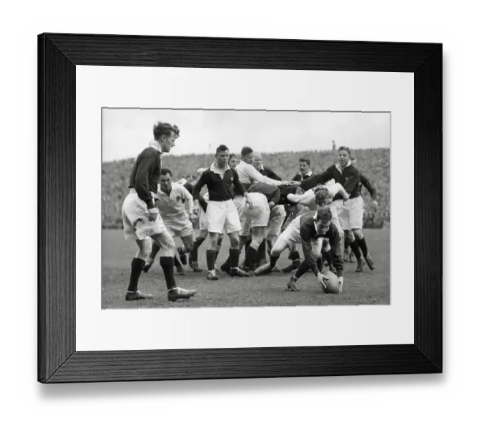 Framed Print : Scotland v England at Murrayfield 1948. Douglas Elliot watches Bill Black collect the ball after the scrum Framed Print : Scotland v England at Murrayfield 1948. Douglas Elliot watches Bill Black collect the ball after the scrum