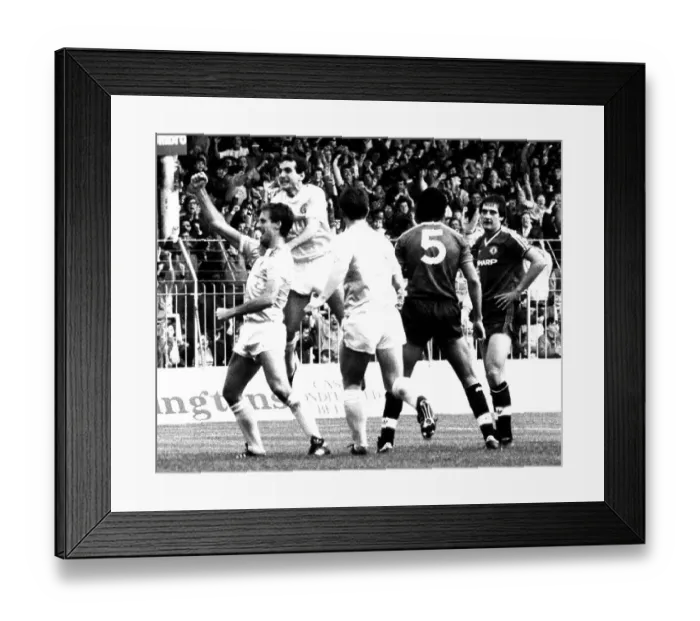 Framed Print : Mick McCarthy and Imre Varadi celebrate the Manchester City equaliser Framed Print : Mick McCarthy and Imre Varadi celebrate the Manchester City equaliser