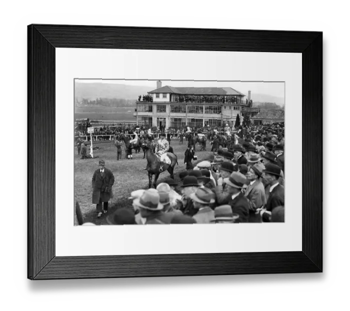 Framed Print : Racehorses in the paddock at Cheltenham in 1932 Framed Print : Racehorses in the paddock at Cheltenham in 1932