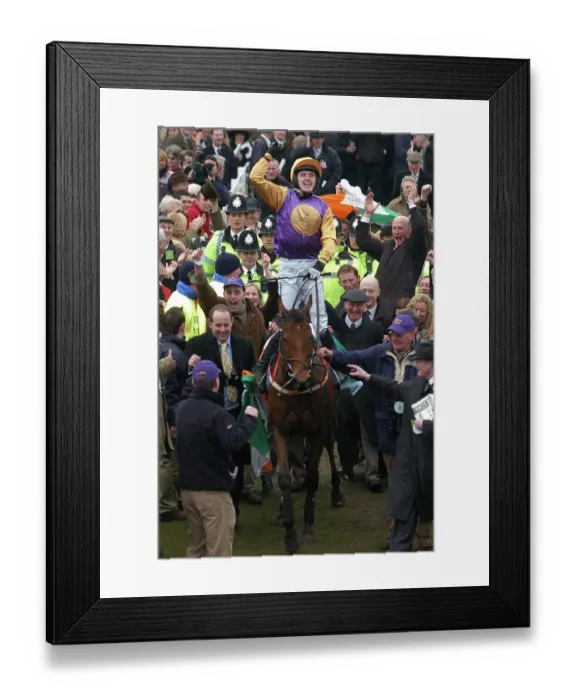 Framed Print : Tony McCoy wins the Champion Hurdle on Brave Inca Framed Print : Tony McCoy wins the Champion Hurdle on Brave Inca