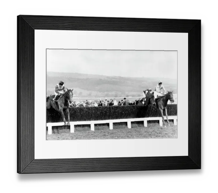 Framed Print : Cheltenham Gold Cup - Racehorse Bregawn ridden by G Bradley jumps the last (right) and goes on to win Framed Print : Cheltenham Gold Cup - Racehorse Bregawn ridden by G Bradley jumps the last (right) and goes on to win
