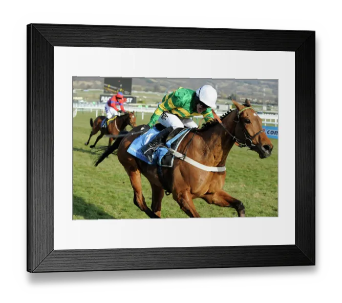 Framed Print : AP McCoy wins the Champion Hurdle on Binocular at Cheltenham 2010 Framed Print : AP McCoy wins the Champion Hurdle on Binocular at Cheltenham 2010