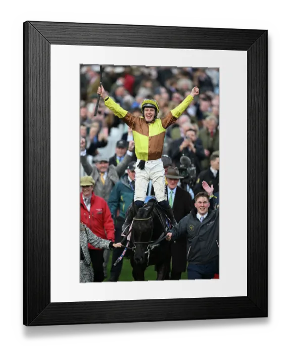Framed Print : The Gold Cup is won by Paul Townend on Galopin Des Champs Cheltenham Festival week Framed Print : The Gold Cup is won by Paul Townend on Galopin Des Champs Cheltenham Festival week
