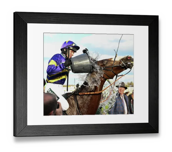 Framed Print : Derek Fox cools off Corach Rambler after their win