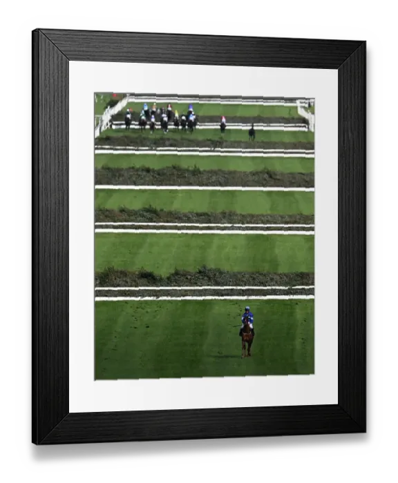Framed Print : A horse walking back to the stables after failing to jump a fence on day 1 of the Grand National festival 2023 The view across after the horses cross the Melling road Framed Print : A horse walking back to the stables after failing to jump a fence on day 1 of the Grand National festival 2023 The view across after the horses cross the Melling road