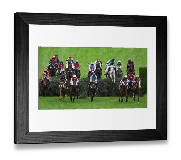 Framed Print : Grand National Festival at Aintree Framed Print : Grand National Festival at Aintree