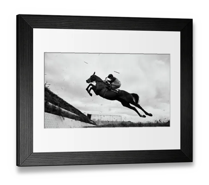 Framed Print : Grand National Festival at Aintree Framed Print : Grand National Festival at Aintree