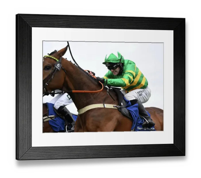 Framed Print : Grand National Festival at Aintree Framed Print : Grand National Festival at Aintree