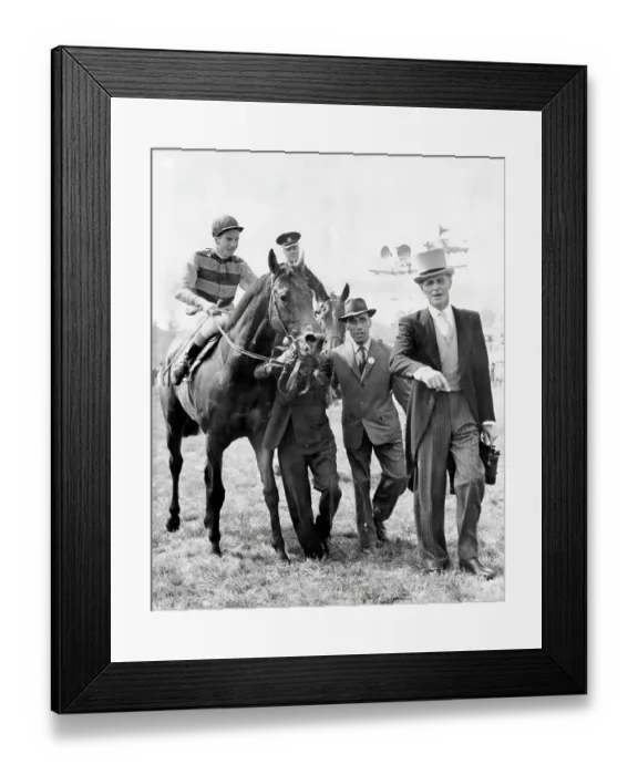 Framed Print : Racehorse St Paddy ridden by Lester Piggott being led into the winner's enclosure after winning the 1960 Epsom Derby