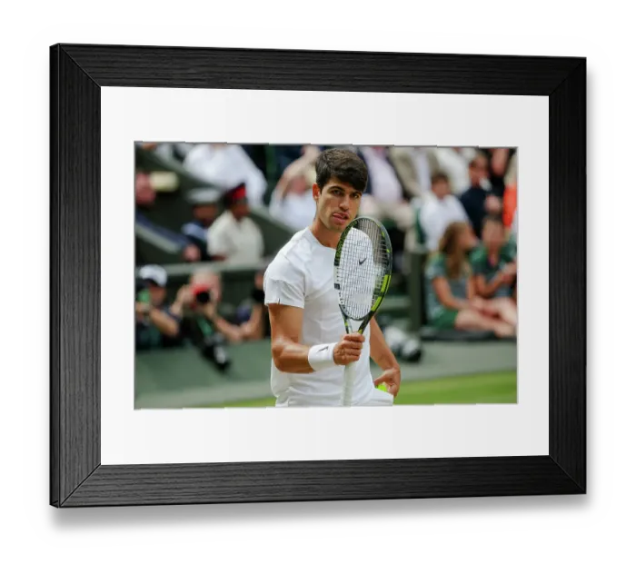 Framed Print : Carlos Alcaraz Wimbledon Championships 2024 Framed Print : Carlos Alcaraz Wimbledon Championships 2024