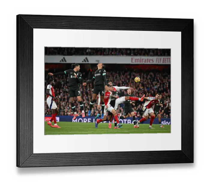 Framed Print : Merino goal Framed Print : Merino goal