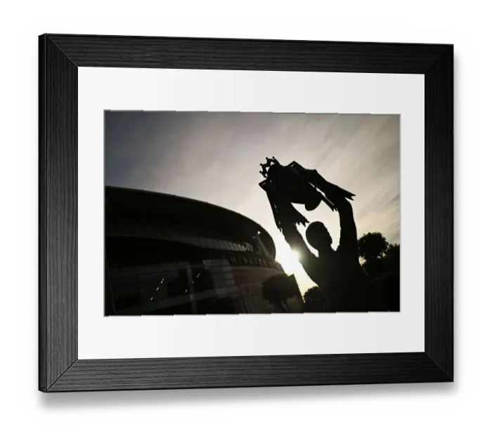 Framed Print : Arsenal fans Framed Print : Arsenal fans