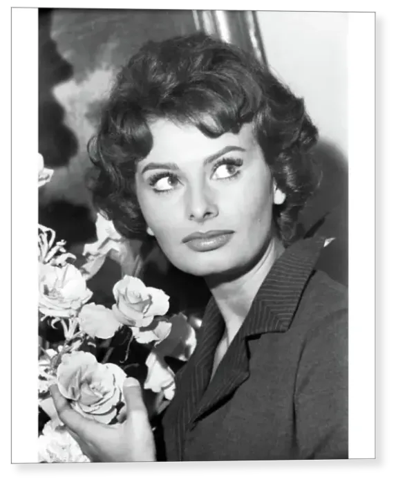 Print : Actress Sophia Loren in London 1957 Print : Actress Sophia Loren in London 1957