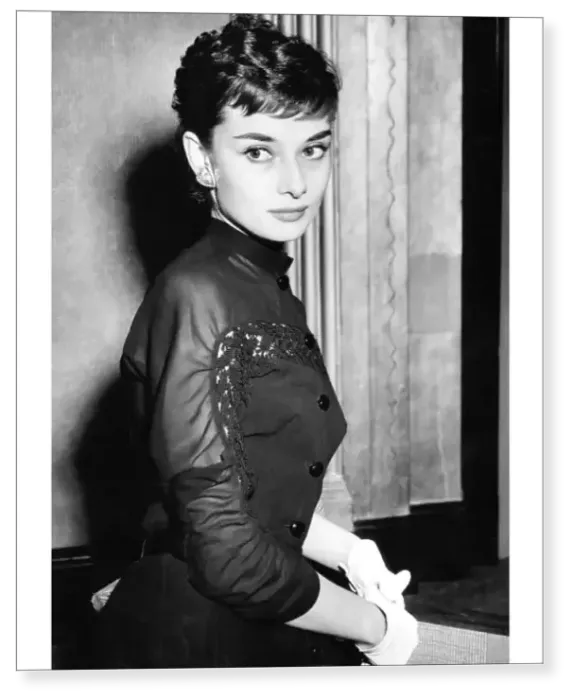Print : Audrey Hepburn aged 24 Print : Audrey Hepburn aged 24