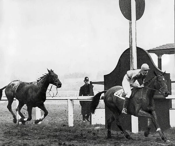 The 1928 Grand National winner Tipperary Jim passes the post