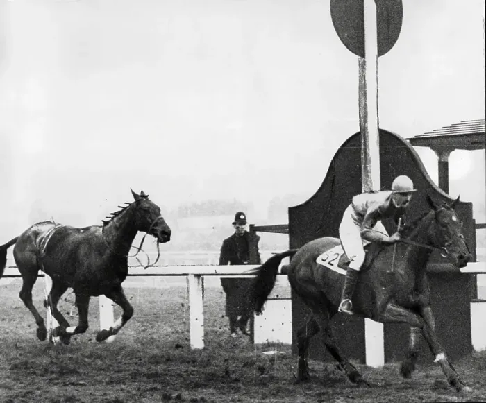 Framed Print : The 1928 Grand National winner Tipperary Jim passes the post