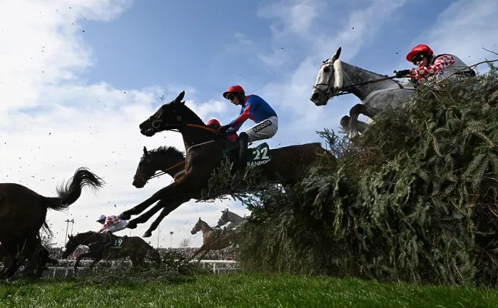 Framed Print : 2025 Grand National Aintree Framed Print : 2025 Grand National Aintree