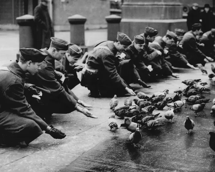 Framed Print : American troops feeding pigeons in Trafalgar Square, 1942 Framed Print : American troops feeding pigeons in Trafalgar Square, 1942