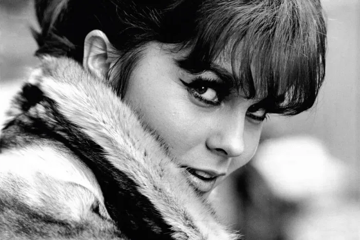 Framed Print : Ann-Margret Framed Print : Ann-Margret