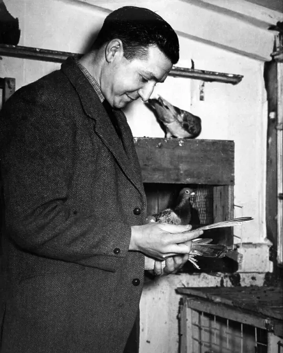 Framed Print : Bobby Corbett of Newcastle United FC, at home. His hobby is racing pigeons