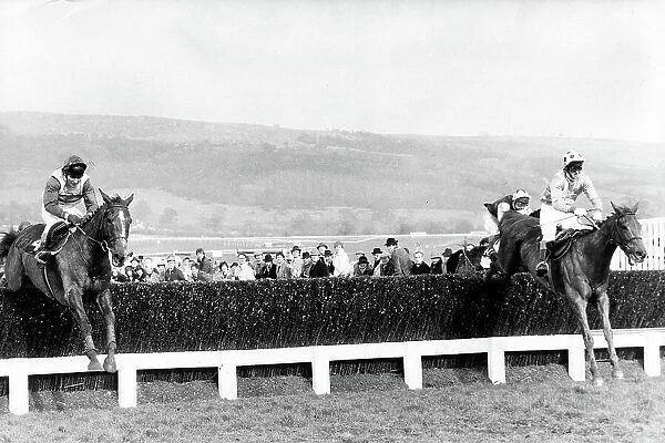 Cheltenham Gold Cup - Racehorse Bregawn ridden by G Bradley jumps the last (right) and goes on to win