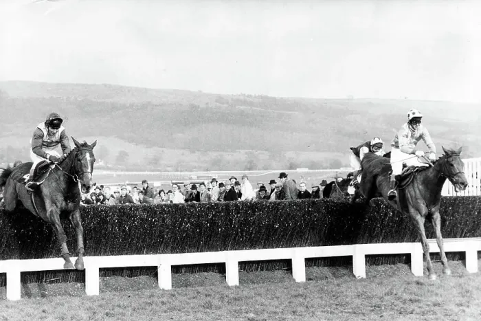 Framed Print : Cheltenham Gold Cup - Racehorse Bregawn ridden by G Bradley jumps the last (right) and goes on to win Framed Print : Cheltenham Gold Cup - Racehorse Bregawn ridden by G Bradley jumps the last (right) and goes on to win