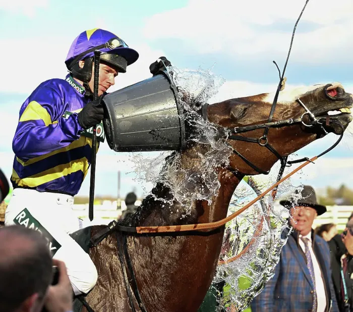 Framed Print : Derek Fox cools off Corach Rambler after their win
