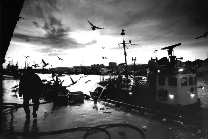 Framed Print : Early morning on the docks in Aberdeen Framed Print : Early morning on the docks in Aberdeen