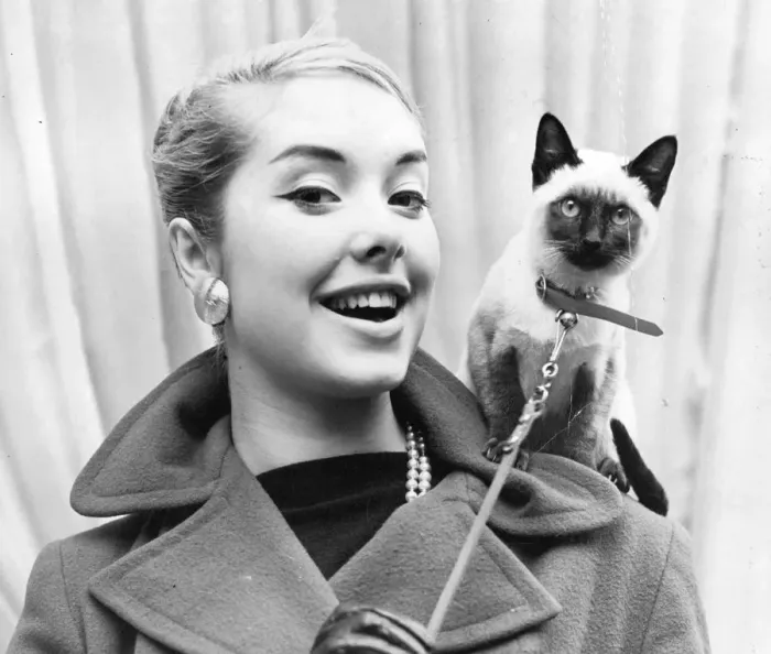Framed Print : Fifties model with a cat Framed Print : Fifties model with a cat