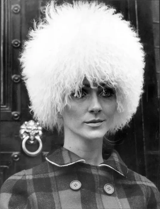 Framed Print : Fluffy sixties hat Framed Print : Fluffy sixties hat
