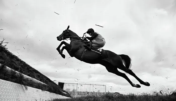 Framed Print : Grand National Festival at Aintree Framed Print : Grand National Festival at Aintree
