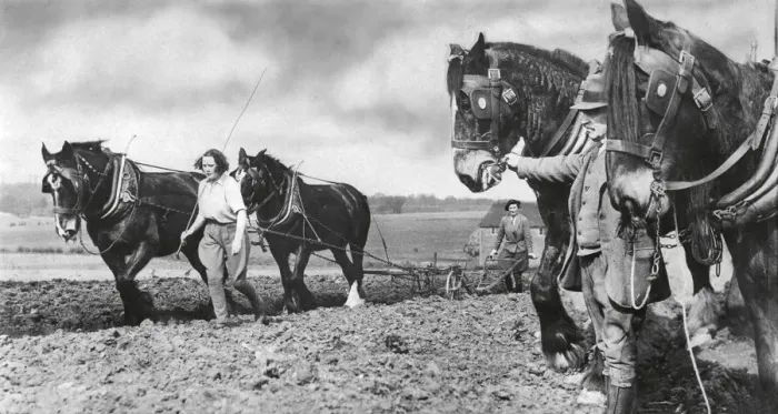 Framed Print : Horse-drawn ploughing at Crouch Farm, Swanley in Kent, 1938 R Framed Print : Horse-drawn ploughing at Crouch Farm, Swanley in Kent, 1938 R