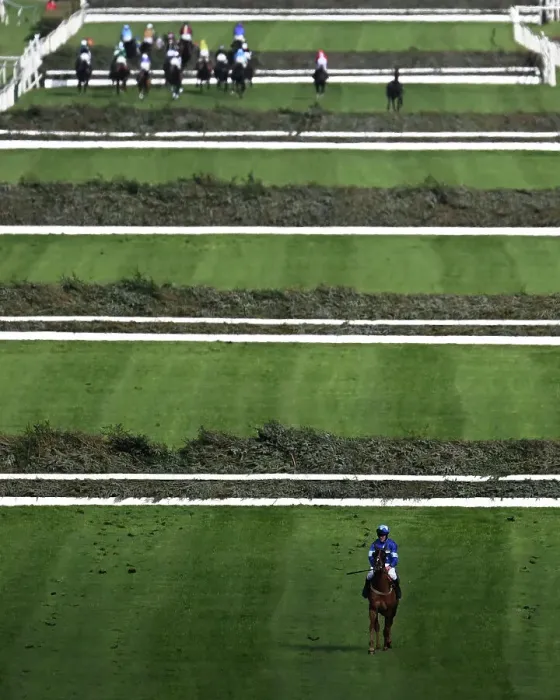 Framed Print : A horse walking back to the stables after failing to jump a fence on day 1 of the Grand National festival 2023 The view across after the horses cross the Melling road Framed Print : A horse walking back to the stables after failing to jump a fence on day 1 of the Grand National festival 2023 The view across after the horses cross the Melling road