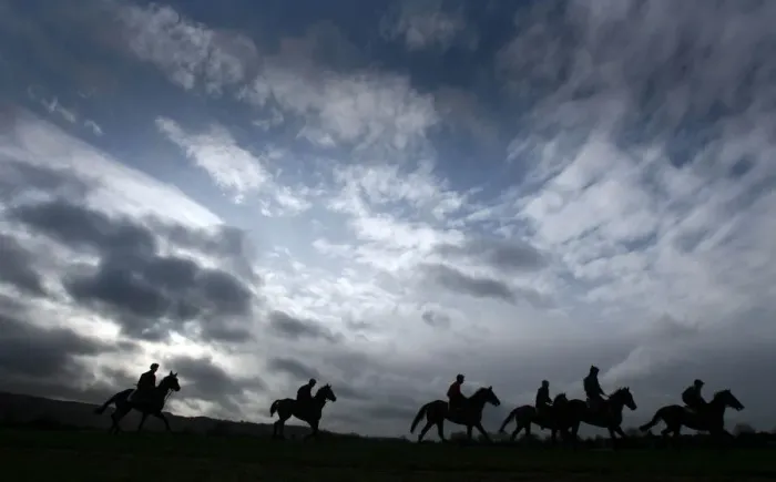 Framed Print : Horses on the early morning gallops at Cheltenham Framed Print : Horses on the early morning gallops at Cheltenham