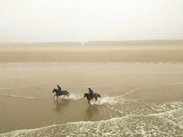 Framed Print : Two horses from the James Owen Racing stables (Newmarket) ride at Holkham beach in Norfolk in a pre-Cheltenham work-out Framed Print : Two horses from the James Owen Racing stables (Newmarket) ride at Holkham beach in Norfolk in a pre-Cheltenham work-out