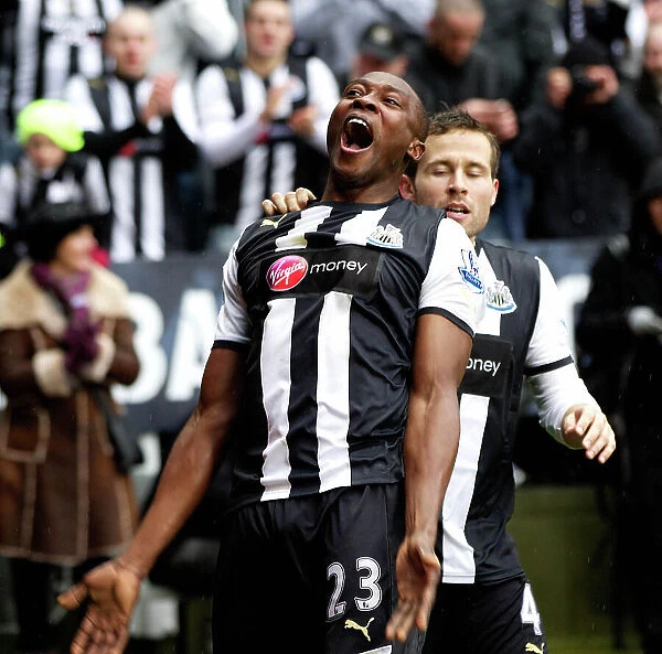 Newcastle's Shola Ameobi celebrates the equalising goal against Sunderland