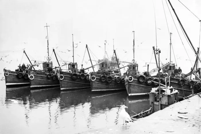 Framed Print : Newhaven fishing boats tied up alongside the harbour wall 1954