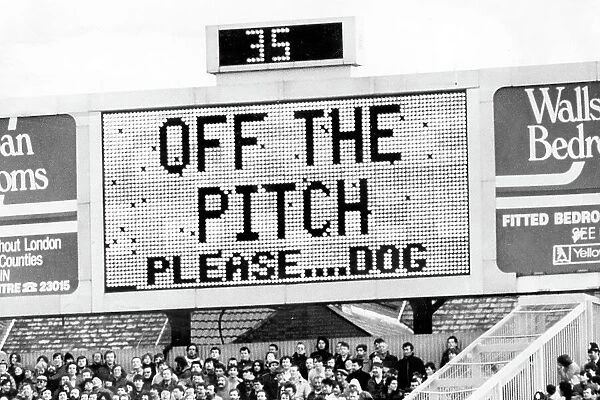Off The Pitch Please Dog!