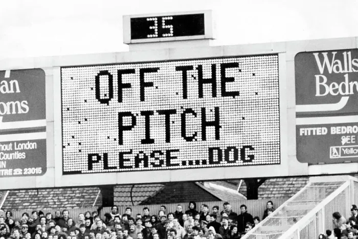 Framed Print : Off The Pitch Please Dog! Framed Print : Off The Pitch Please Dog!