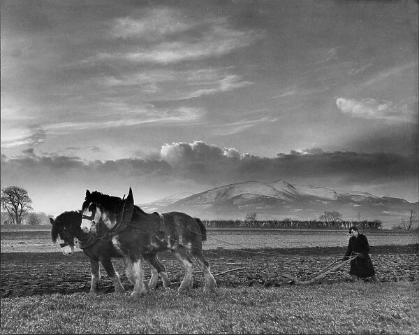 Ploughing in Lasswade, 1949