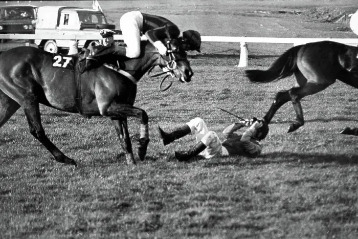 Framed Print : Prince Charles falling from a horse at Cheltenham, 1981 Framed Print : Prince Charles falling from a horse at Cheltenham, 1981