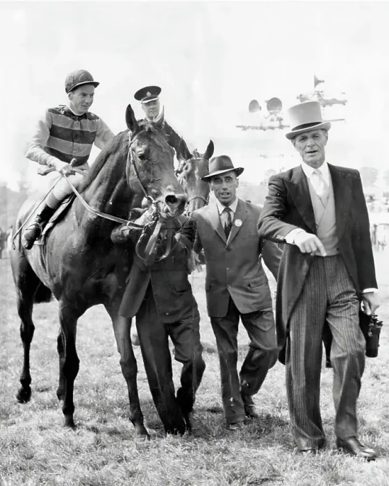 Framed Print : Racehorse St Paddy ridden by Lester Piggott being led into the winner's enclosure after winning the 1960 Epsom Derby